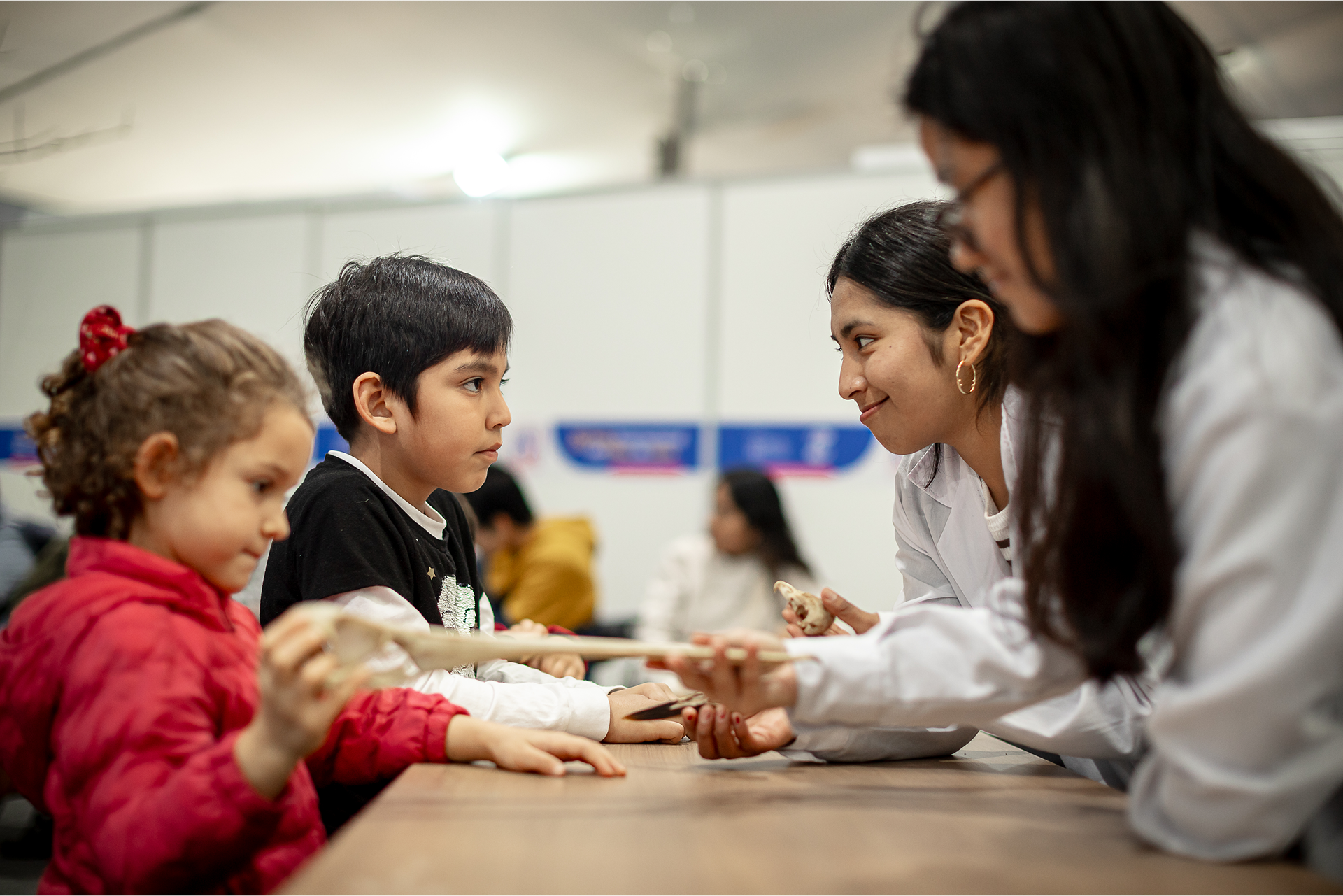 steam-ninios-cayetano